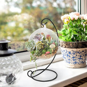 Air Plant Glass Container Set – Hanging Glass Vase | Black Metal Stand, Minimalist & Elegant, Ideal for Air Plants and Succulents