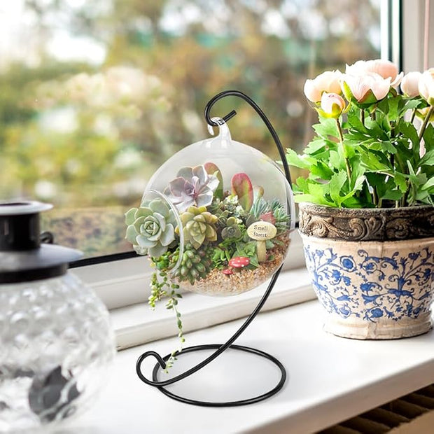 Air Plant Glass Container Set – Hanging Glass Vase | Black Metal Stand, Minimalist & Elegant, Ideal for Air Plants and Succulents